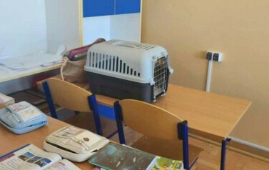 Dzień bez plecaka 10