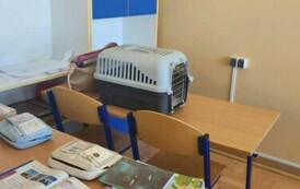 Dzień bez plecaka 10