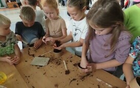 Piknik ekologiczny w Publicznej Szkole Podstawowej nr 3 13