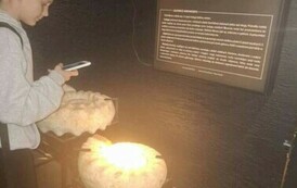 Wycieczka do Bałtowa - niezapomniana przygoda 4