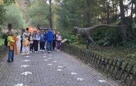 Wycieczka do Bałtowa - niezapomniana przygoda 10