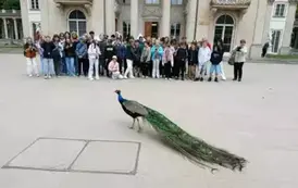 Wycieczka do Warszawy 3
