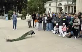Wycieczka do Warszawy 76