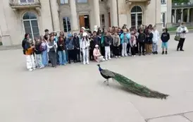 Wycieczka do Warszawy 77